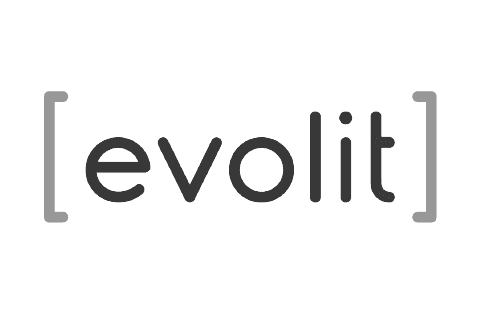Evolit Consulting